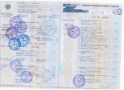 Паспорт транспортного средства