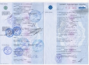 Паспорт транспортного средства