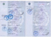 Паспорт транспортного средства
