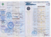 Паспорт транспортного средства