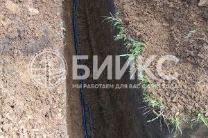 д. Сходня, Химкинский район