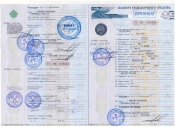 Паспорт транспортного средства
