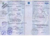 Паспорт транспортного средства