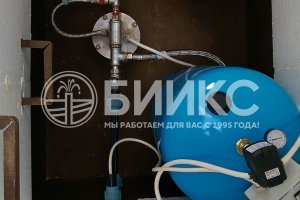 д. Икша, Дмитровский район
