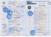 Паспорт транспортного средства