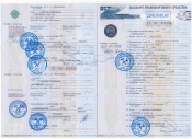 Паспорт транспортного средства